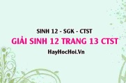 Giải Sinh 12 trang 13 Chân trời sáng tạo SGK